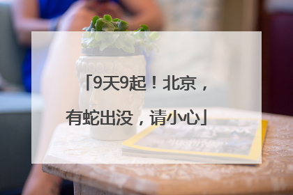 9天9起！北京，有蛇出没，请小心