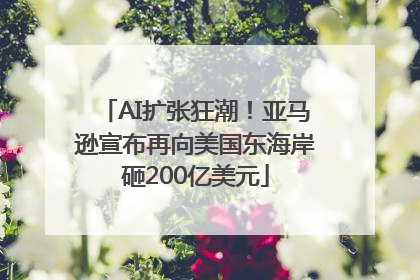 AI扩张狂潮！亚马逊宣布再向美国东海岸砸200亿美元