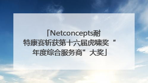 Netconcepts耐特康赛斩获第十六届虎啸奖“年度综合服务商”大奖