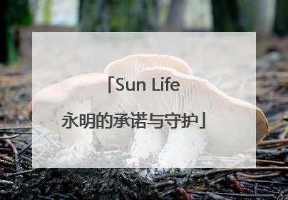 Sun Life永明的承诺与守护